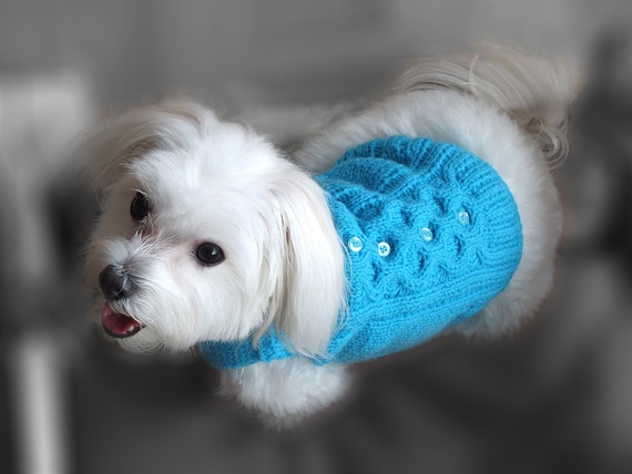 dog pullover