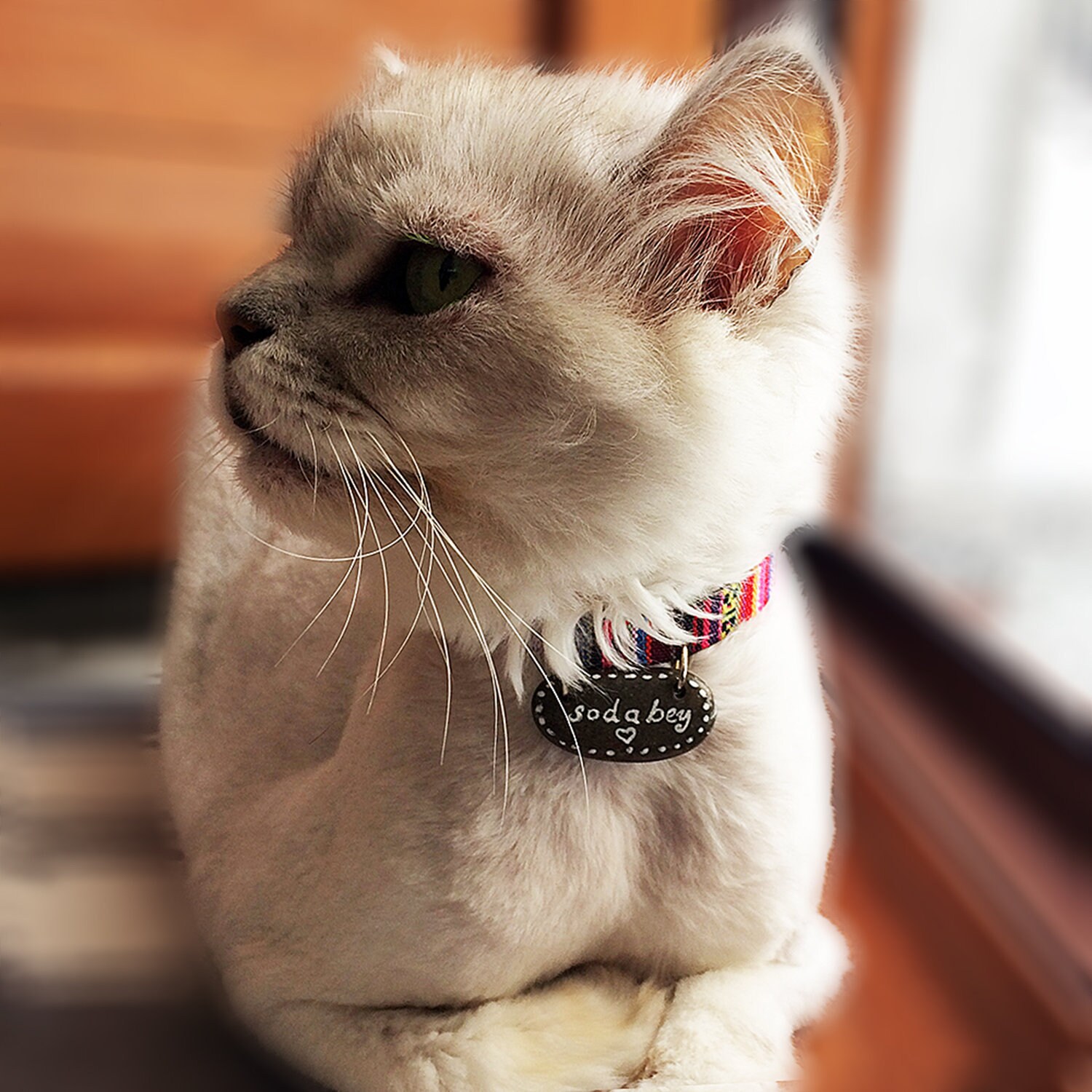 indestructible cat collar