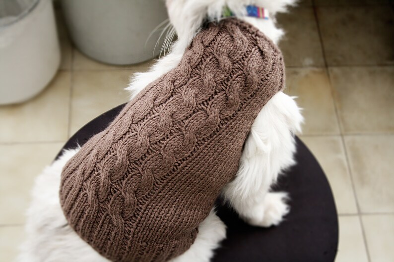 Matching Pet and Owner Clothes Brown Cable Sweater for Cat Etsy Matching Pet and Owner Clothes Brown Cable Sweater for Cat Etsy