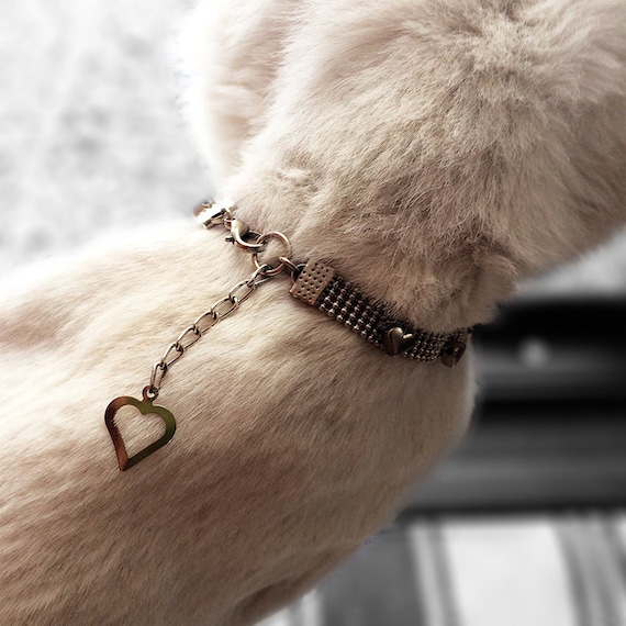 chic cat collars
