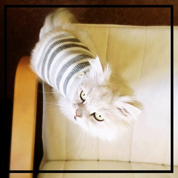 Gray Stripes Cute Cat Sweater, Sphynx Cat Clothes, Knitting Cat Clothes,  Knit Jumper for Small Dog, Grey Dog Pullover, Knitting Dog Sweater 