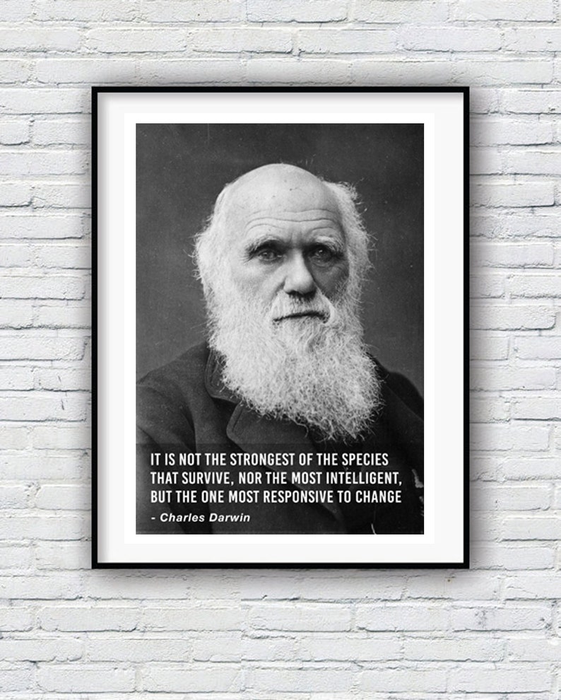Charles Darwin Species Quote Quote poster Typographic Etsy Charles Darwin Species Quote Quote poster Typographic Etsy