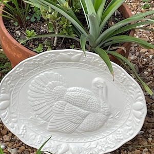 Puede incluir: Plato ovalado blanco para servir con un diseño de pavo en relieve. El plato tiene un borde decorativo de flores y hojas. El pavo está centrado en el plato, con sus plumas extendidas. El plato está al aire libre, con plantas en el fondo.