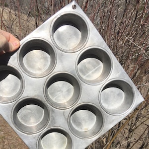 May include: A vintage, well-used, silver-colored muffin tin with 12 circular cups. The tin is held up against a background of bare tree branches. The tin has a small hole at the top for hanging.