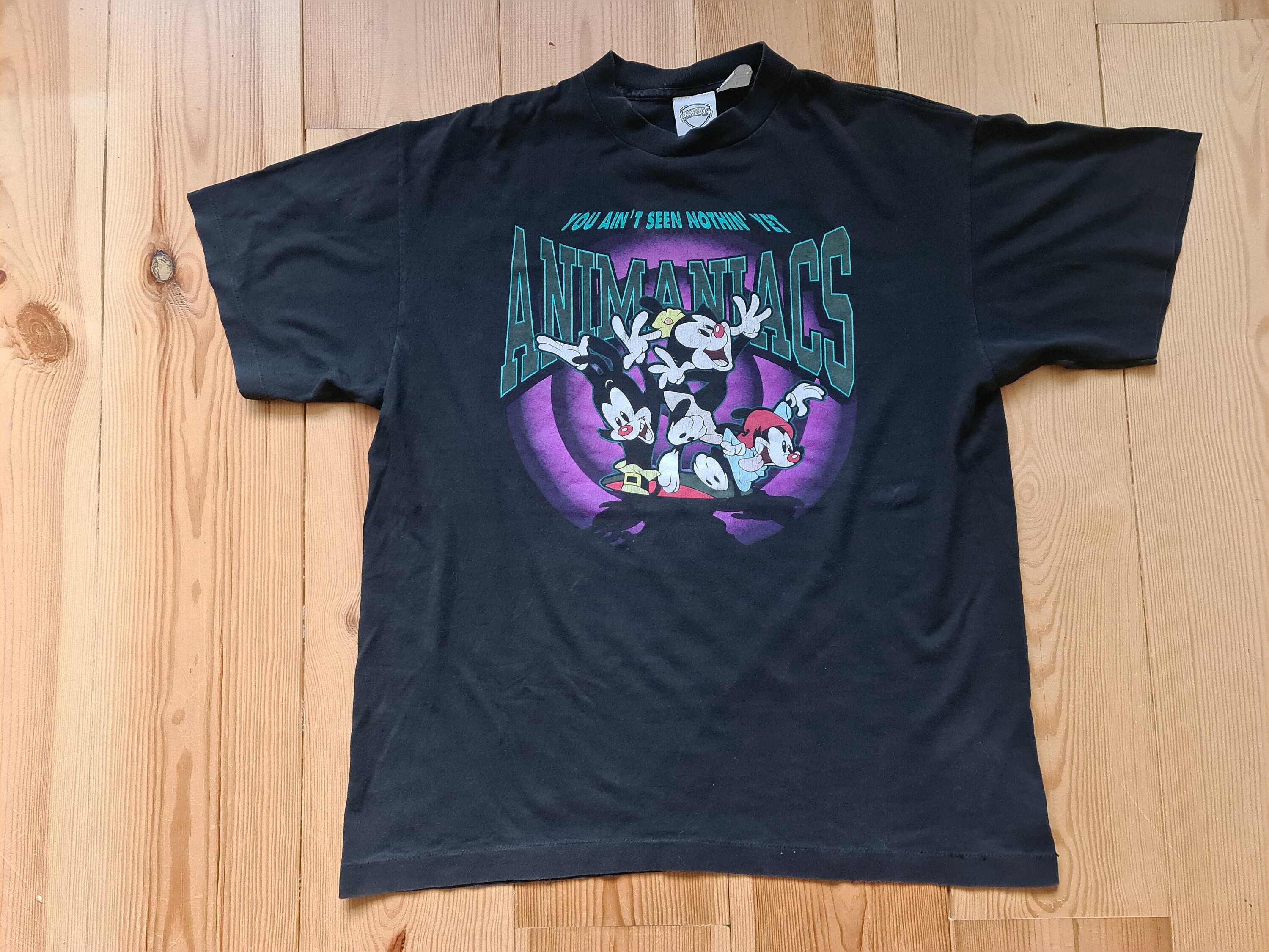 1993 Animaniacs You Ain