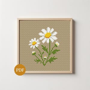 May include: A square wooden frame containing a cross-stitch pattern on tan Aida cloth. The design features two large white daisies with yellow centres, smaller buds, and green stems with leaves. A circular orange badge with the text PDF is visible.