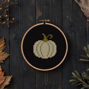May include: A circular wooden embroidery hoop containing a cross-stitch pattern of a light beige pumpkin with a dark olive green stem, centered on a solid black fabric background, showcasing detailed needlework stitches in a grid-like formation.