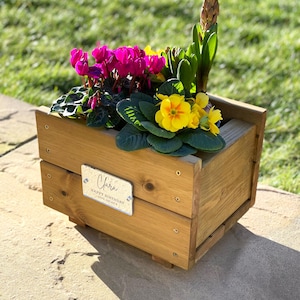 May include: A wooden planter box with a personalised plaque that reads "Clara Happy Birthday Love Granny". The planter is filled with pink cyclamen, yellow primroses, and a green hyacinth.