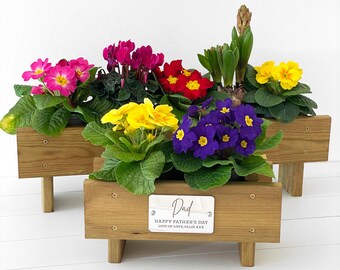 Handmade Wooden Garden Planter Father's Day Gift, Special Gift For Dad or Grandpa