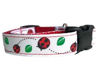 Small Dog Collar - Ladybugs