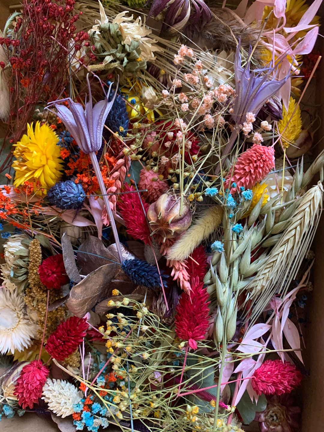 Dried Flower Heads Foliage Mix Ideal for Crafting Three Sizes Free