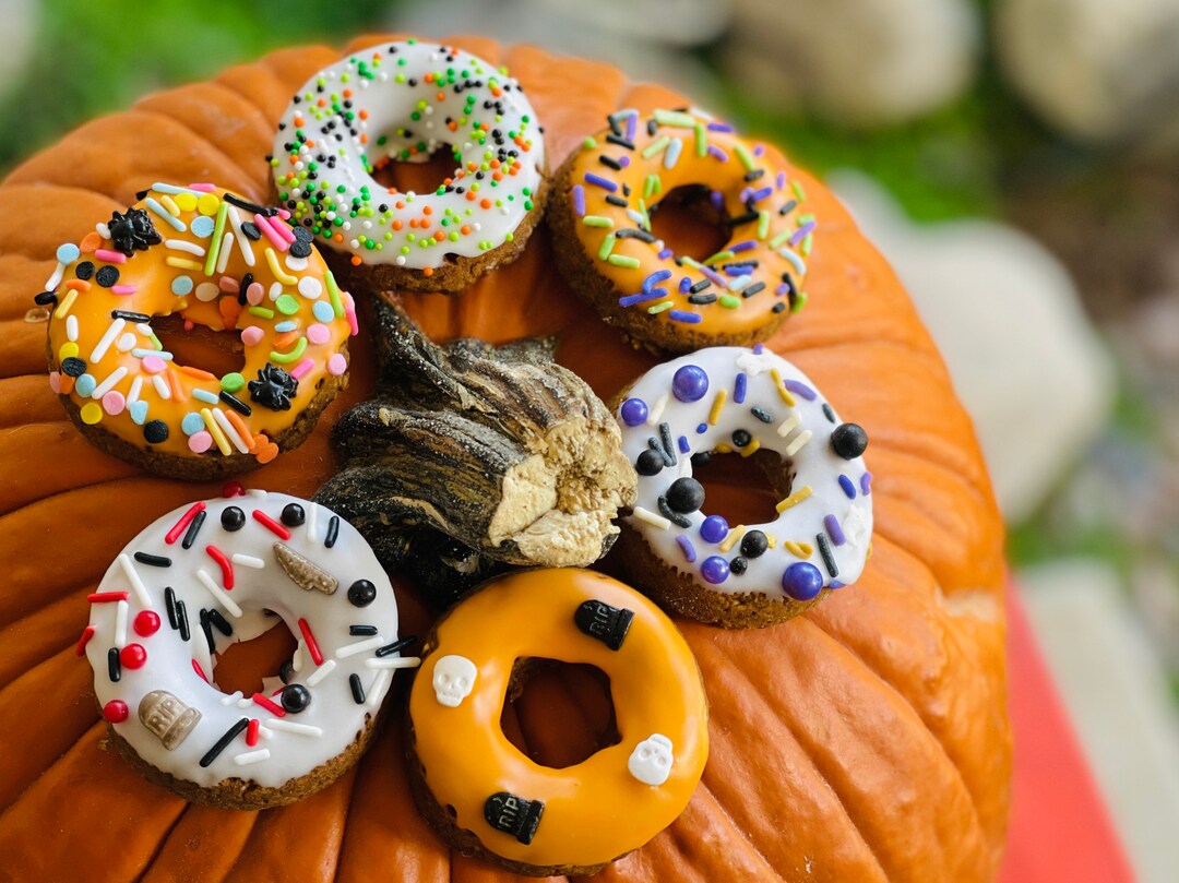 Large Donut Horse Treats Halloween Theme Etsy