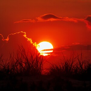 Burning Red Sunrise