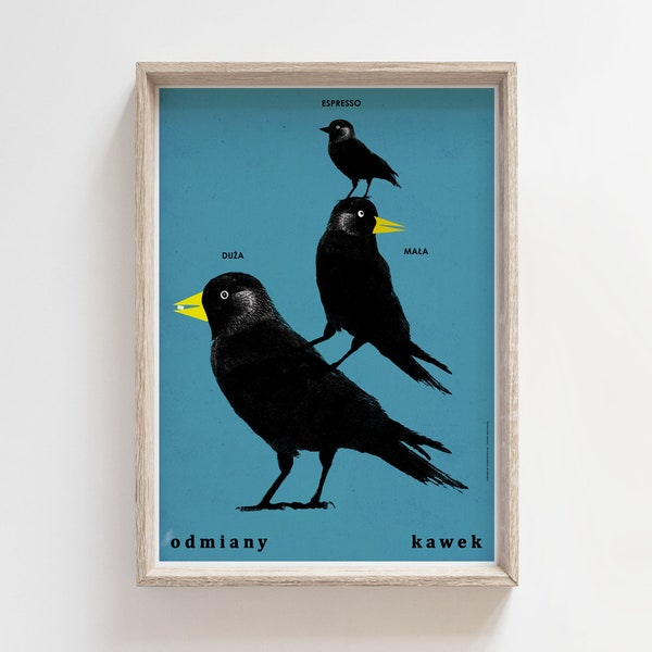 Types of jackdaws: big, small, espresso, original polish poster, print, illustration, art, wall decor, hanging, home, room, aesthetic, birds