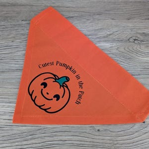 Peut inclure: Bandana triangulaire orange avec le texte "Cutest Pumpkin in the Patch" et un dessin de citrouille souriante. Le bandana est en tissu et est probablement pour un animal de compagnie.