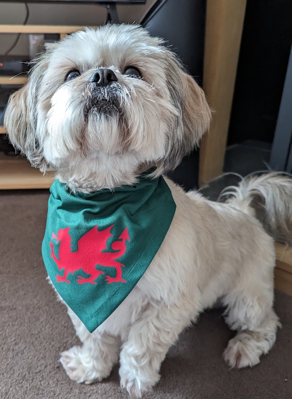 Welsh Dragon Dog Bandana Etsy