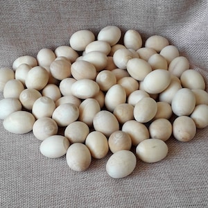 Set of 12 Small Unfinished Wooden Eggs Decorate for Easter 1,2&quot;