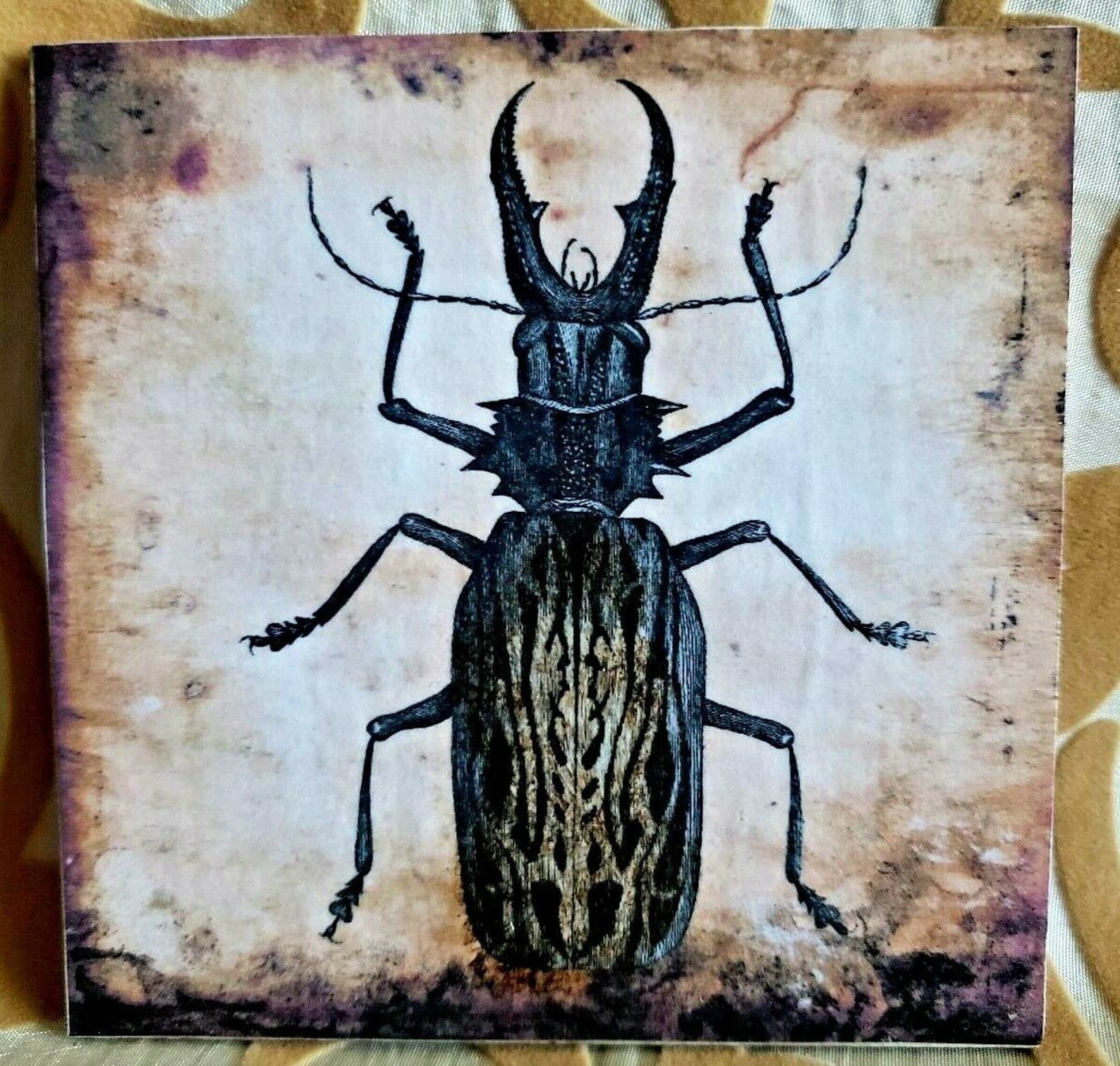 HandCrafted Wood & Cork Coasters Insects Bugs Entomology One Etsy