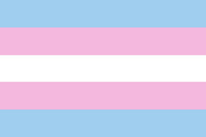 Trans Pride Flagge Unisex Tie Dye T-Shirt Anpassbares Muster Erhältlich in den Größen S-6XL für Erwachsene Bild 8