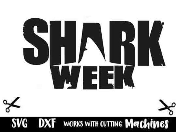 Download Shark Week Svg Etsy