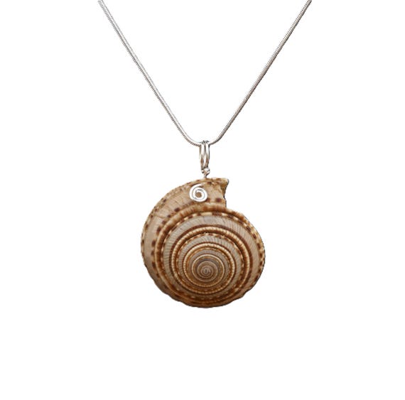 Sundial Shell Pendant - Reiki Infused Jewelry SKU #2825