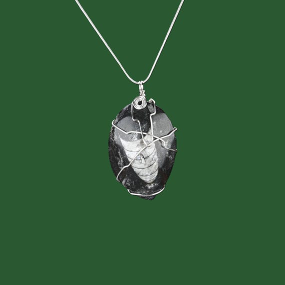 Orthoceras Fossil Pendant - Reiki Infused
