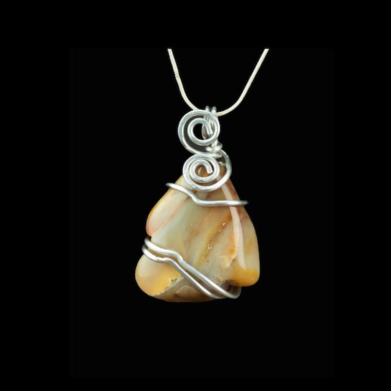 Big Beefy Petrified Wood Pendant - Choose a Silver Chain or Leather Cord