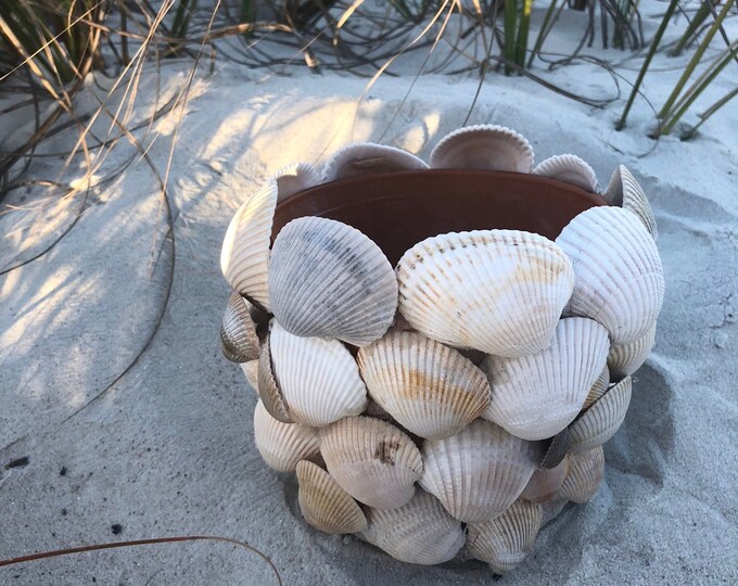 Seashell Planter Pot - Plant Beach Decor - Scallop Shell Pot - Terra ...