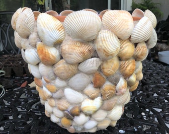 Large 12"  Seashell planter pot - plant beach decor - scallop shell pot - Terra Cotta Clay - Coastal - Bohemian - wedding - foot large