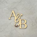 Initials Wedding Cake Topper, Charm Monogram Cake Topper, Custom Name Cake Toppers for Wedding, Mirrored Сalligraphy Letters Cake Topper product logo