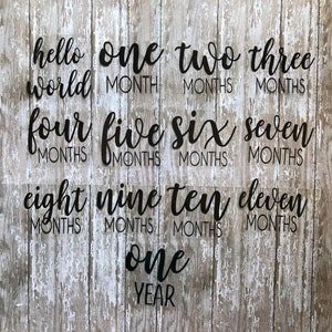 Baby Milestones Onesie Decorating Set. DIY Baby Shower Onesie Decorating Station. DIY Baby Shower Gifts. Heat transfer decals. Onesie decals