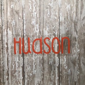 May include: The word "Hudson" is written in red letters on a weathered wooden surface.