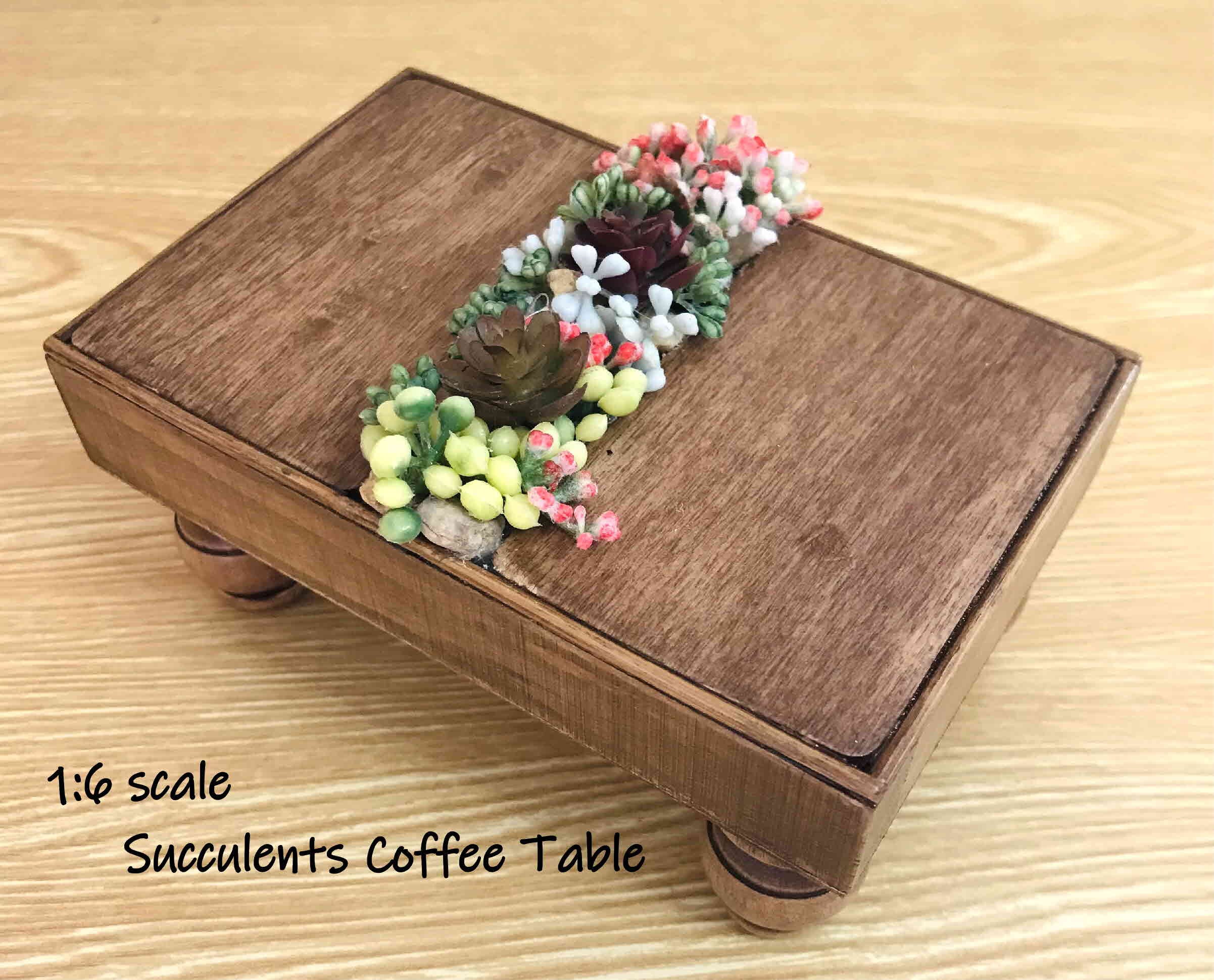 Coffee table with succulents deals