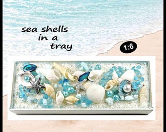 Tacka na muszle morskie 1:6, plaża nadmorska. Wyprodukowano w USA.