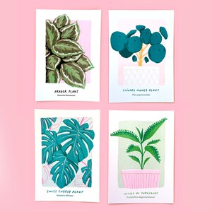 BUNDLE! Over it x Plant Magic Plant Print Bundle