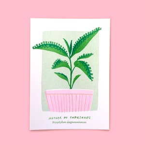 Mother of Thousands Plant Print - Over it x Plant Magic Collab