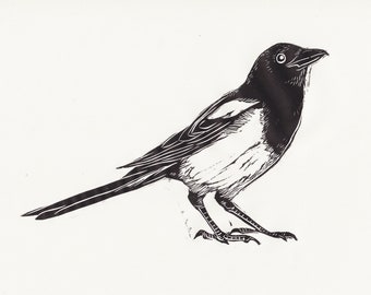 Linogravure de M. Magpie, art de corvidé en noir et blanc
