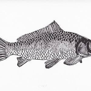 Carp fish black and white aquatic ocean river sea fisherman fishing art linocut linoprint block relief limited edition