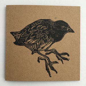 Spotted crake aves de vida silvestre observación aves de agua rallidae familia linocut tarjeta linoprint impreso a mano naturaleza kraft tarjeta de saludos