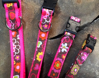 Flowerama on Hot Pink Nylon Webbing Dog Collar, Martingale & Leash