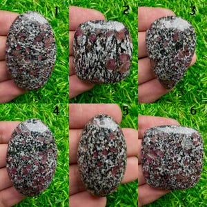 Peut inclure: Six pierres précieuses polies avec un motif moucheté de noir, blanc et rouge. Les pierres varient en forme, y compris ovale et rectangulaire. Les pierres précieuses sont présentées sur un fond vert.