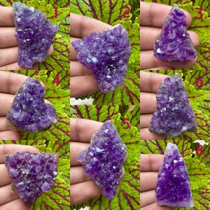 Könnte beinhalten: Acht rohe Amethyst-Kristallcluster in verschiedenen Formen und Größen. Die Kristalle sind tiefviolett, mit sichtbaren Facetten und einer natürlichen, rauen Textur. Der Hintergrund ist ein grünes und rotes Blättermuster.