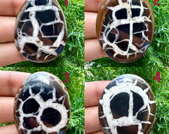 May include: Four polished gemstones with a unique pattern. The stones are brown, black, and white, with a web-like design. The shapes include a teardrop and oval. The gemstones are displayed against a backdrop of green foliage.