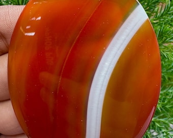 May include: Oval-shaped polished gemstone with a vibrant blend of red, orange, and white hues. The stone features a prominent white stripe that curves across the center. The gemstone is set against a backdrop of green foliage.
