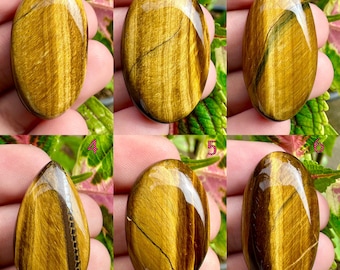 May include: Six polished tiger's eye gemstones, each with unique patterns and colors. The stones range in shape from oval to teardrop, showcasing a mix of golden-brown hues with natural striations. The gemstones are displayed against a backdrop of green foliage.