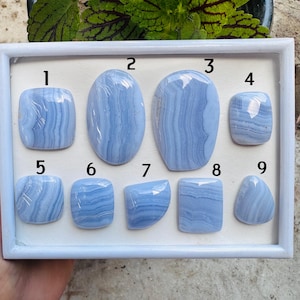 Peut inclure: Une collection de neuf pierres précieuses d'agate dentelle bleue polies, de formes variées, dont ovales, carrées et en goutte. Les pierres présentent un motif de bandes bleues claires et foncées, dans un plateau blanc.