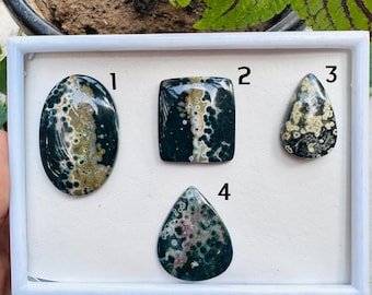 May include: Four polished gemstones in a white tray. The stones are oval, square, and teardrop-shaped, with a mix of dark green, tan, and cream colors. The gemstones are numbered 1 through 4.