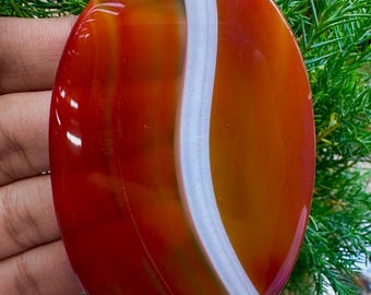 May include: Oval-shaped polished gemstone with a vibrant color gradient of red, orange, and white. The stone features a prominent white stripe running down the center, set against a backdrop of green foliage.