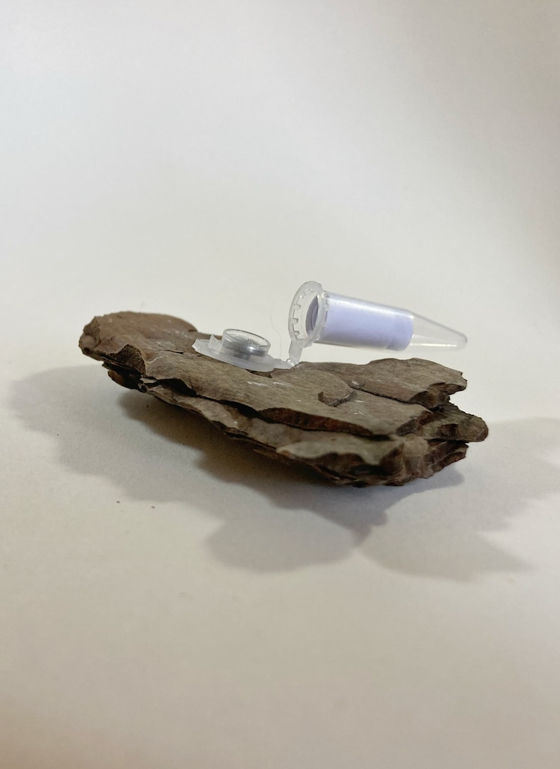 Handmade Bark Geocache Container – Unique Disguised Outdoor Cache for ...