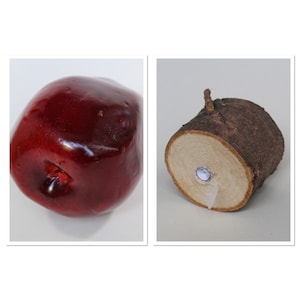 May include: A red apple and a wooden log with a hole in the centre. The log is brown and has a rough texture.